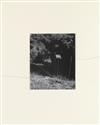 GOSSAGE, JOHN. The Things that Animals Care About, And.